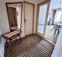 A hallway with a carpet and a mirror in a 2-room apartment, leading to the living room.