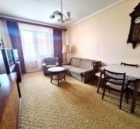 Living room in a two-room apartment with a sofa set, a table, and antique clock on the wall.