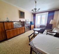 Living room in a two-room apartment with classic furniture and a TV by the window.