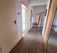 A hallway in a 2-room apartment with a carpet, mirror, and table.