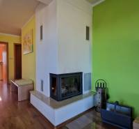 Recreational apartment with a green wall, fireplace, and wooden floor.