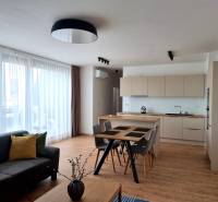 Living room with a kitchen in a three-room apartment, furnished with wooden furniture and a gray sofa.