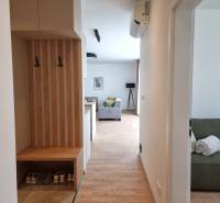 A hallway with a wardrobe and a view into the living room in a 3-room apartment.