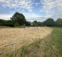 Plots - residential in Rybník, shown with grassy areas and trees, ideal for houses.