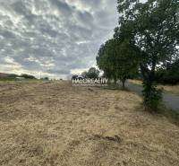 Lands - housing in Rybník, grass, trees, road, cloudy sky, peaceful location.
