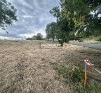 A plot in Rybník for living, grassy area by the road, surrounded by trees.