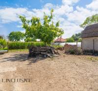 A yard with a pile of wood by a family house in Jahodná, with a blue sky.
