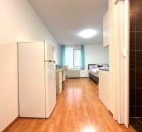 A studio apartment with wooden flooring, a bed, a desk, and a refrigerator.