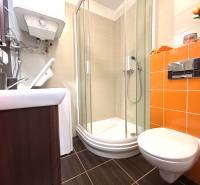A bathroom in a studio apartment with a toilet, shower, and orange tiles.