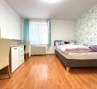 A studio apartment bedroom with a work desk, bed, and decorative wallpaper.