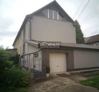 A family house in Nováky with a garden and a garage, surrounded by greenery.