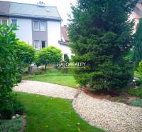 A beautiful garden with a path by a family house in Nováky, surrounded by greenery and trees.