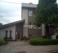 A family house in Nováky with a tree, a garden, and a paved walkway in front of the entrance.