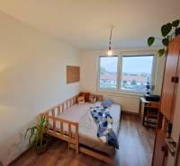 A room in a 4-room apartment with standard furniture: bed, wardrobe, houseplant.