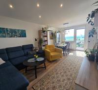 Living room in a 4-room apartment with a sofa, yellow armchair, dining table, and plants.