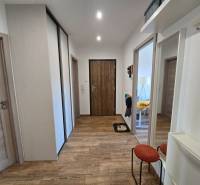 A hallway with a built-in wardrobe, wooden floor, and several doors in a 4-room apartment.