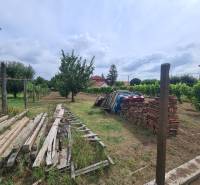 Gardens in Moča with stored wood and bricks, surrounded by vineyards and fruit trees.