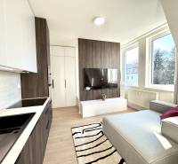 A spacious studio apartment with a kitchenette, comfortable seating, and a television.