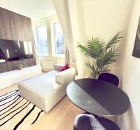 Studio apartment with a television, sofa, and table, complemented by a plant and a modern carpet.