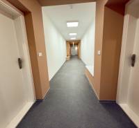 Hallway with white doors, lighting on Sadová Street, leading to a studio apartment.