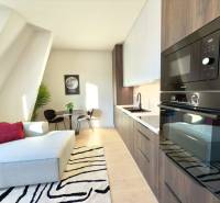 Studio apartment with a kitchenette, sofa, table, and plant, ideal for cozy living.
