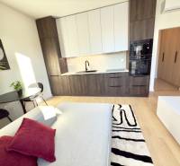 Studio apartment with a kitchenette and dining table, comfortable sofa, wooden design.