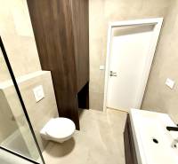 A bathroom in a studio apartment with a wall-hung toilet and a modern sink.