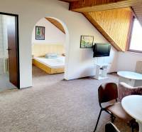 Attic 2-room apartment with a television, table, chairs, and entrance to the bedroom.
