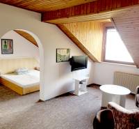 Attic 2-room apartment with arched transitions and a skylight.