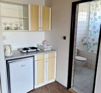 Kitchenette with a cooktop and bathroom in a 2-room apartment.