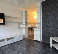 A studio apartment with black cabinets, a patterned wall, and white shelving furniture.