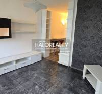 Studio apartment interior with dark tiles, white furniture, and a patterned wall.