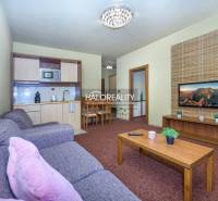 Living room of a two-room apartment with a kitchenette, sofa, and TV on the wall.