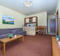 Living room with a sofa, kitchenette, and dining table in a 2-room apartment.