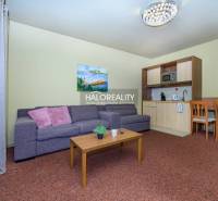 Living room in a two-room apartment with a sofa, kitchenette, and dining table.