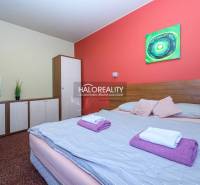 A double bedroom with a colorful wall and a floral painting in a two-room apartment.
