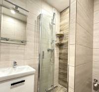 Bathroom with a sink, shower, and mirror in a 2-room apartment.