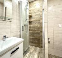 Bathroom with a shower and a sink in a 2-room apartment.