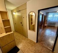 A hallway with wooden furniture and a view into a room in a one-room apartment.