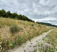 Plots - housing in Divinka with grass, trees, and a road under a cloudy sky.