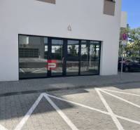 Commercial premises on Eduarda Wenzla Street in Bratislava III with glass doors.