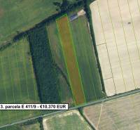 Agricultural and forest land in Lučenec, parcel boundaries and price are shown.