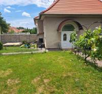 A family house in Nitra on Nécseyho Street with a well-maintained garden and a vine bush.