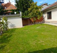 Garden of a family house on Nécseyho Street in Nitra, with a lawn and a tree.