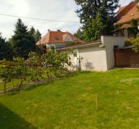 The garden of a family house on Nécseyho Street in Nitra with a lawn and vineyard.