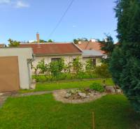 A family house in Nitra on Nécseyho Street with a landscaped garden and lawn.