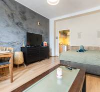 Living room with a dining table, television, and bed in a 2-room apartment.