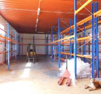 Warehouses and halls with high shelves, a cart, and a lying dog.