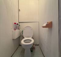 Bathroom in a 3-room apartment with a toilet, shelf, and cleaning products.