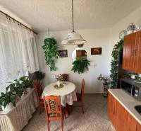 A dining room with a table, chairs, and greenery in a 3-room apartment, decorated with curtains.